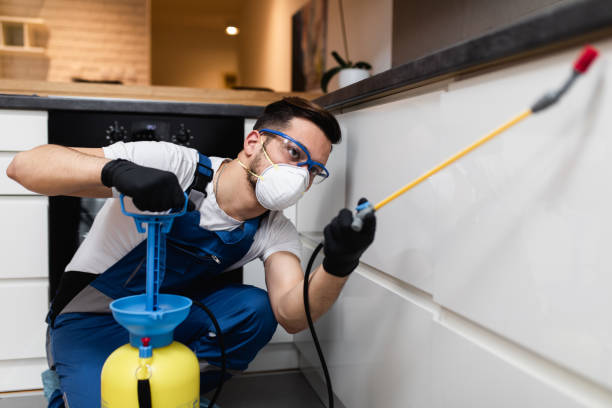 Best Best Pest Control Companies  in Laurinburg, NC