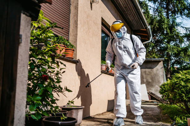 Best Rat Extermination Near Me  in Laurinburg, NC