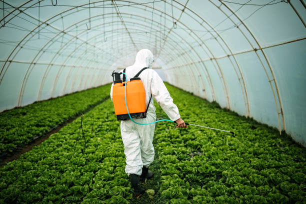 Best Affordable Pest Control Services  in Laurinburg, NC