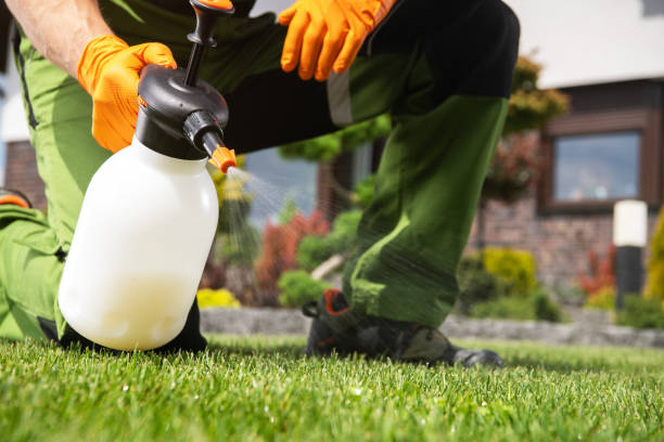Best Best Pest Control Near Me  in Laurinburg, NC