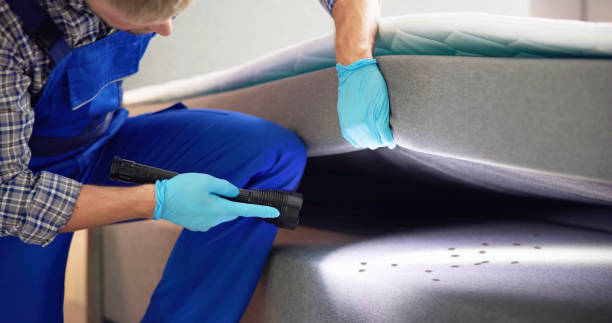 Best Bed Bug Extermination  in Laurinburg, NC