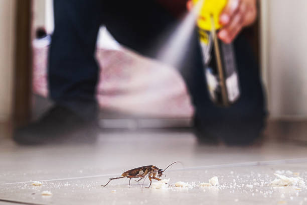 Best Rodent Control Near Me  in Laurinburg, NC