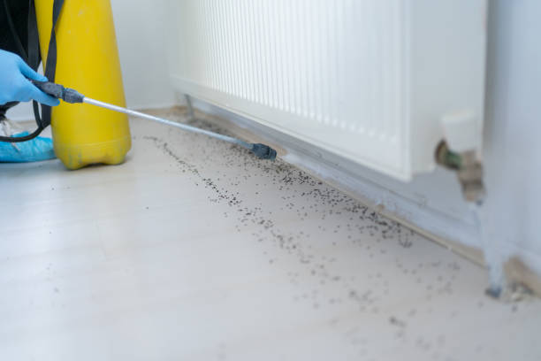 Best Affordable Pest Control Services  in Laurinburg, NC