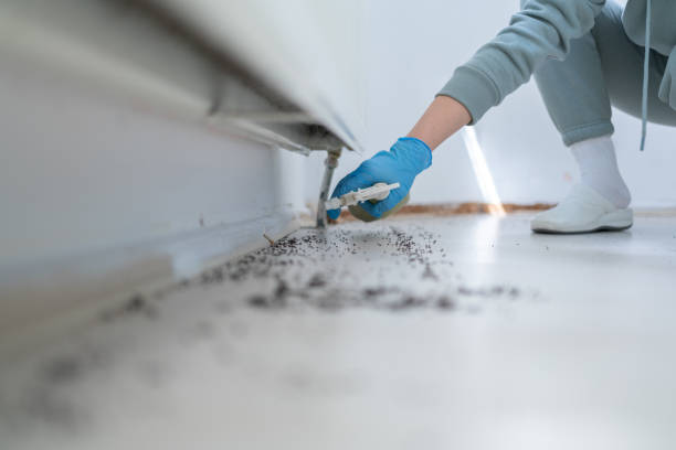  Laurinburg, NC Pest Control Pros